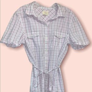 Levi’s Cotton Plaid Mini Shirt Dress (size XL)